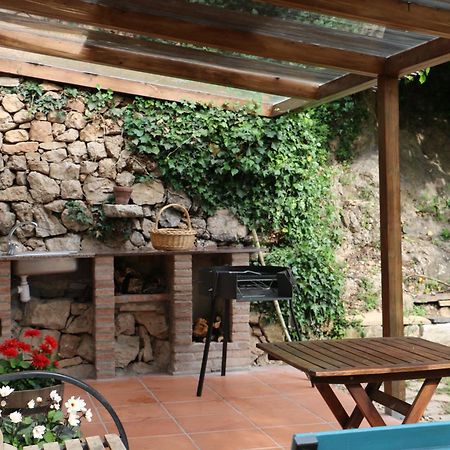 Casa Ecologica En Plena Naturaleza Arboli Esterno foto