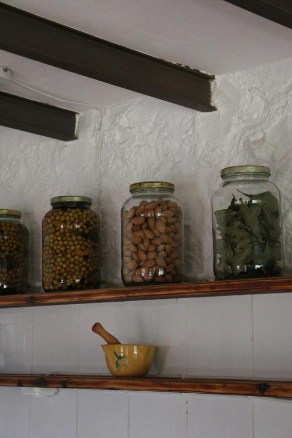 Casa Ecologica En Plena Naturaleza Arboli Esterno foto